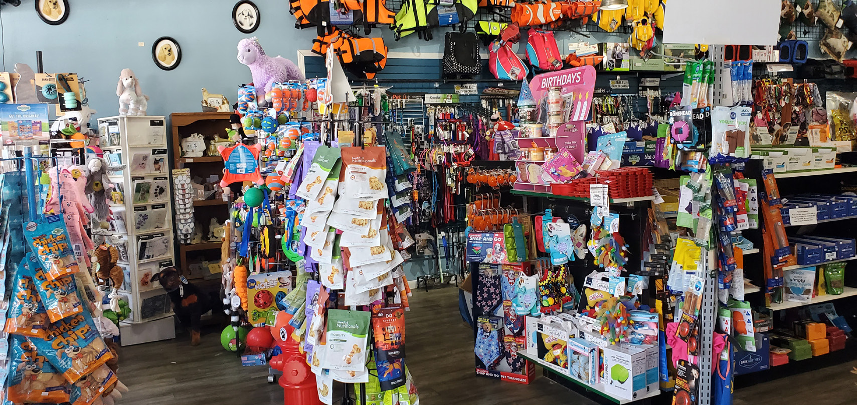 DADE CITY Dog Mania Wins 2026 Best of Florida Award for Excellence in Pet Care Solutions